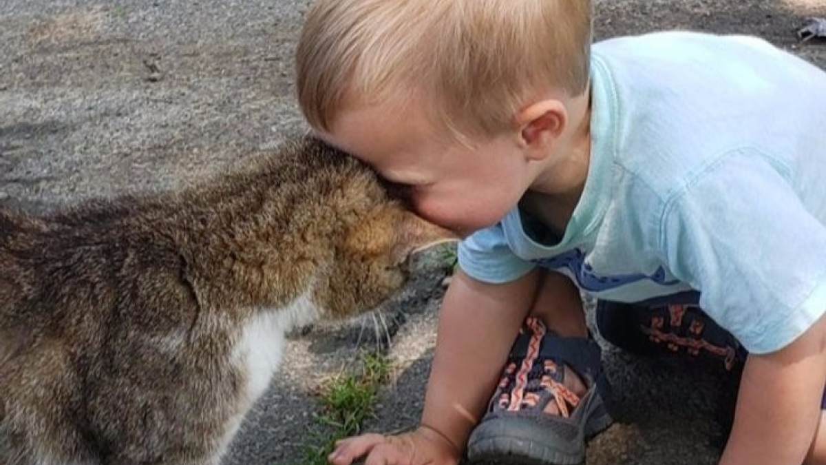 Illustration : "12 photos d'animaux tellement craquantes qu'elles balaieront tout ce qui rend votre vie difficile ! "