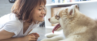 Illustration : "La façon dont vous parlez à votre chien influe sur son comportement,