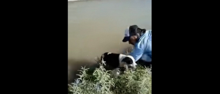 Illustration : "Il stoppe tout pour sauver un chien pris au piège par le courant d'un canal, sa réaction est immédiate ! (vidéo)"