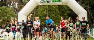 Illustration : "Woof Run : le rendez-vous des amoureux du canicross