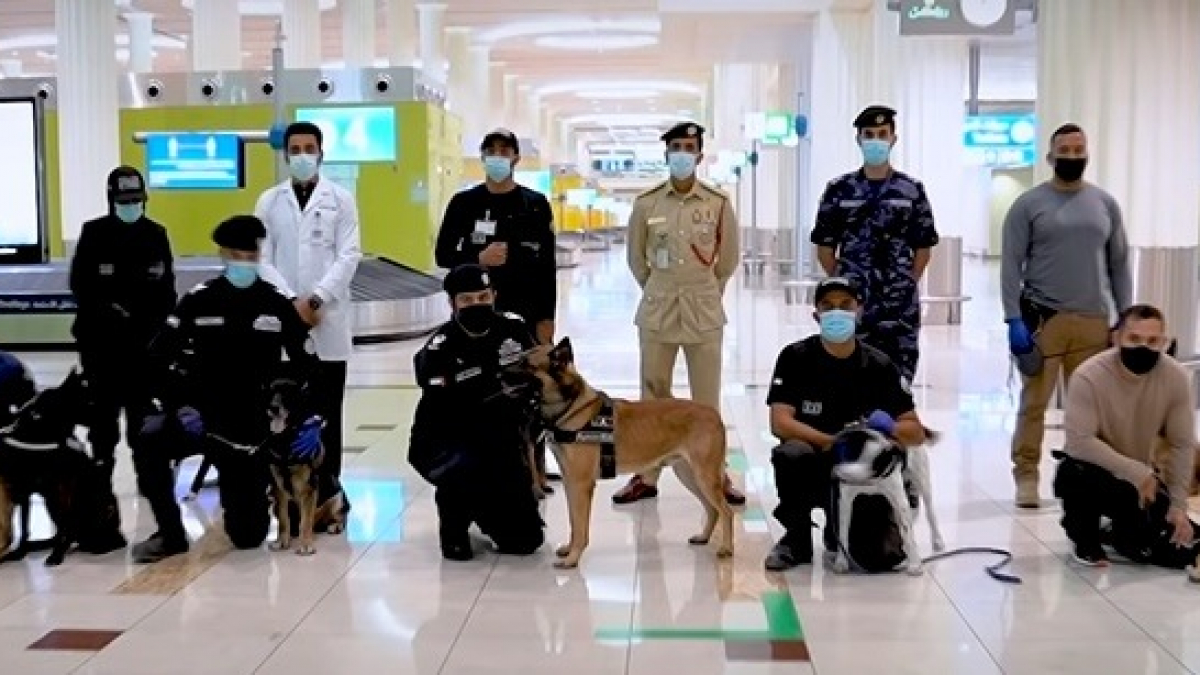 Illustration : "Covid-19 : les Émirats arabes unis inaugurent le dépistage aéroportuaire à l'aide de chiens policiers spécialement éduqués !"