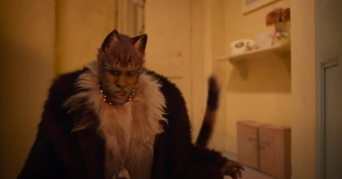 Le Chanteur Jason Derulo Regrette Le Flop Immerite Du Film Cats Adapte De La Comedie Musicale Du Meme Nom