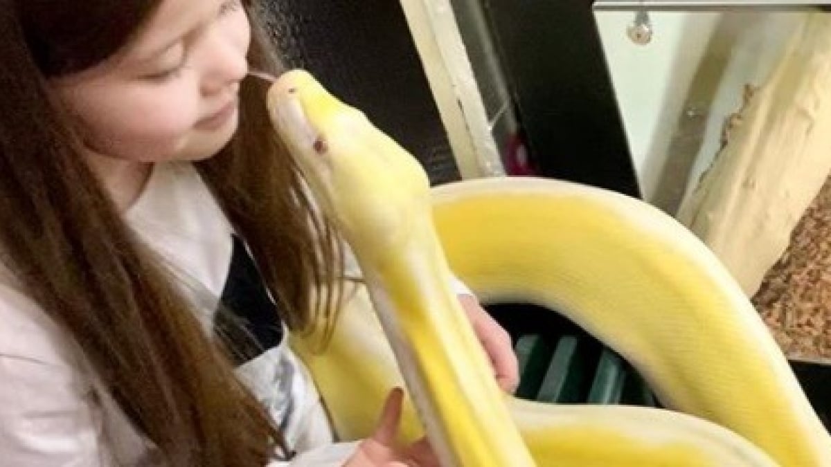 Illustration : "Depuis l'âge de deux ans, cette jeune fille vit sa passion pour les animaux aux côtés de son meilleur ami : un python de 5 mètres !"