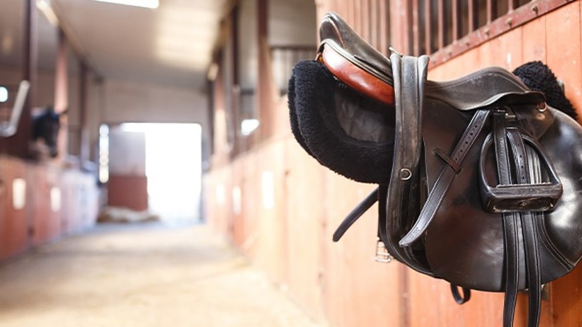 Comment choisir une selle de cheval ?