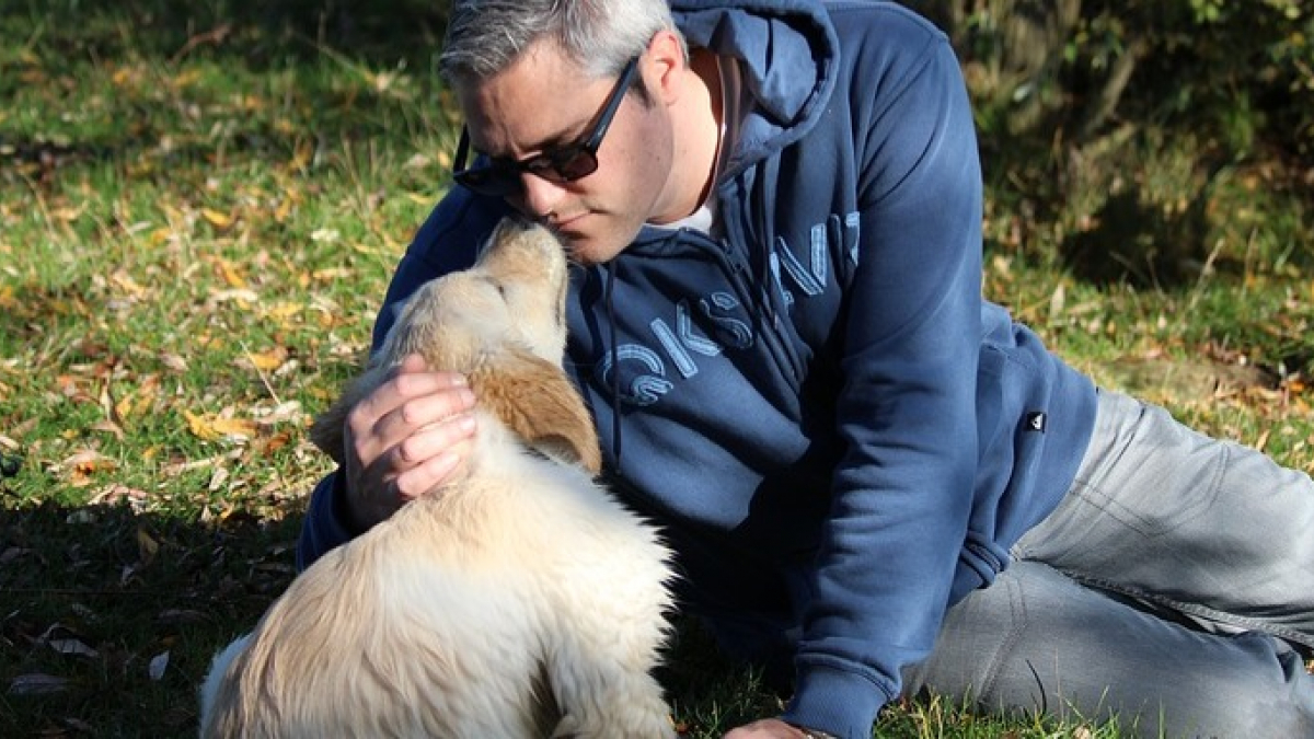 Illustration : "Une marque de parfum crée une fragrance destinée à vous faire revivre la rencontre avec votre chiot !"