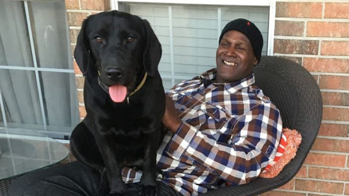 Illustration : "Après 40 années d'incarcération pour un crime qu'il n'a pas commis, il débute une nouvelle vie avec le chien qu'il a élevé en prison ! "