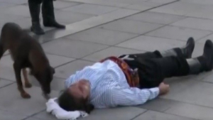 Illustration : Inquiété par le jeu de scène d’un acteur de théâtre, ce chien stoppe une représentation pour aider l’homme "en crise" (Vidéo) 