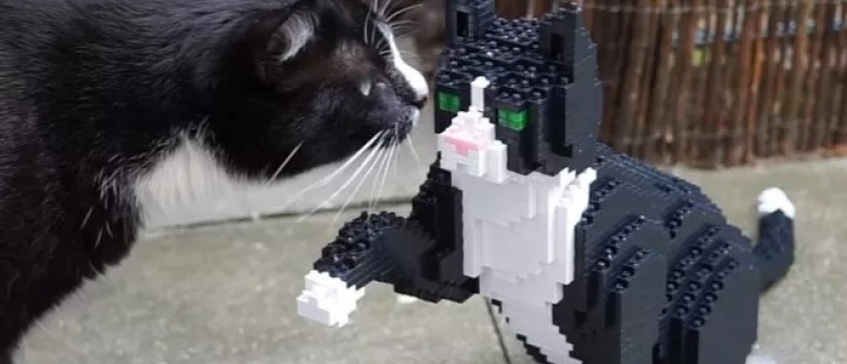 Une Societe Vous Offre La Possibilite D Obtenir Une Reproduction De Votre Animal De Compagnie A Taille Reelle En Lego Une Societe Vous Offre La Possibilite D Obtenir Une Reproduction De Votre Animal De Compagnie A Taille Reelle En Lego
