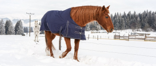 Illustration : "Protéger son cheval du froid "