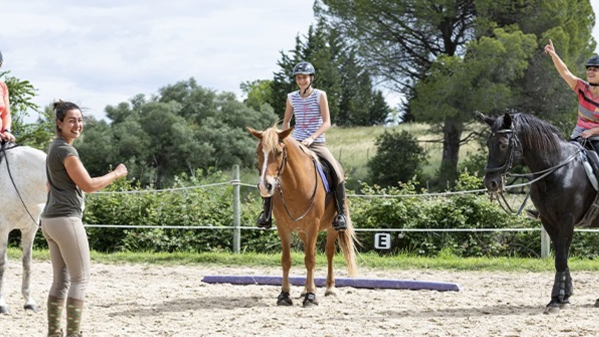 Illustration : "Mettre en place un programme de travail pour son cheval "