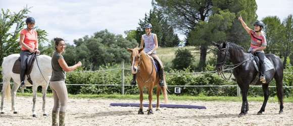 Illustration : "Mettre en place un programme de travail pour son cheval "