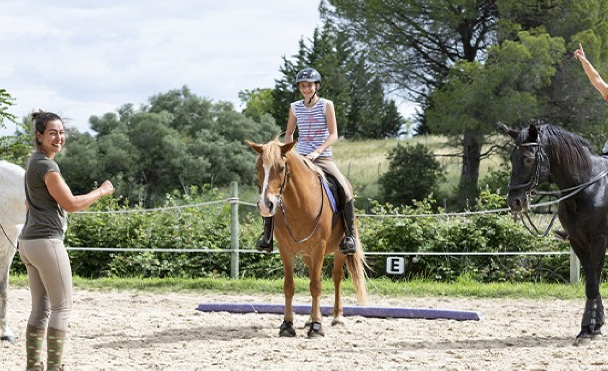 Illustration : "Mettre en place un programme de travail pour son cheval "