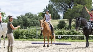 Illustration : Mettre en place un programme de travail pour son cheval 