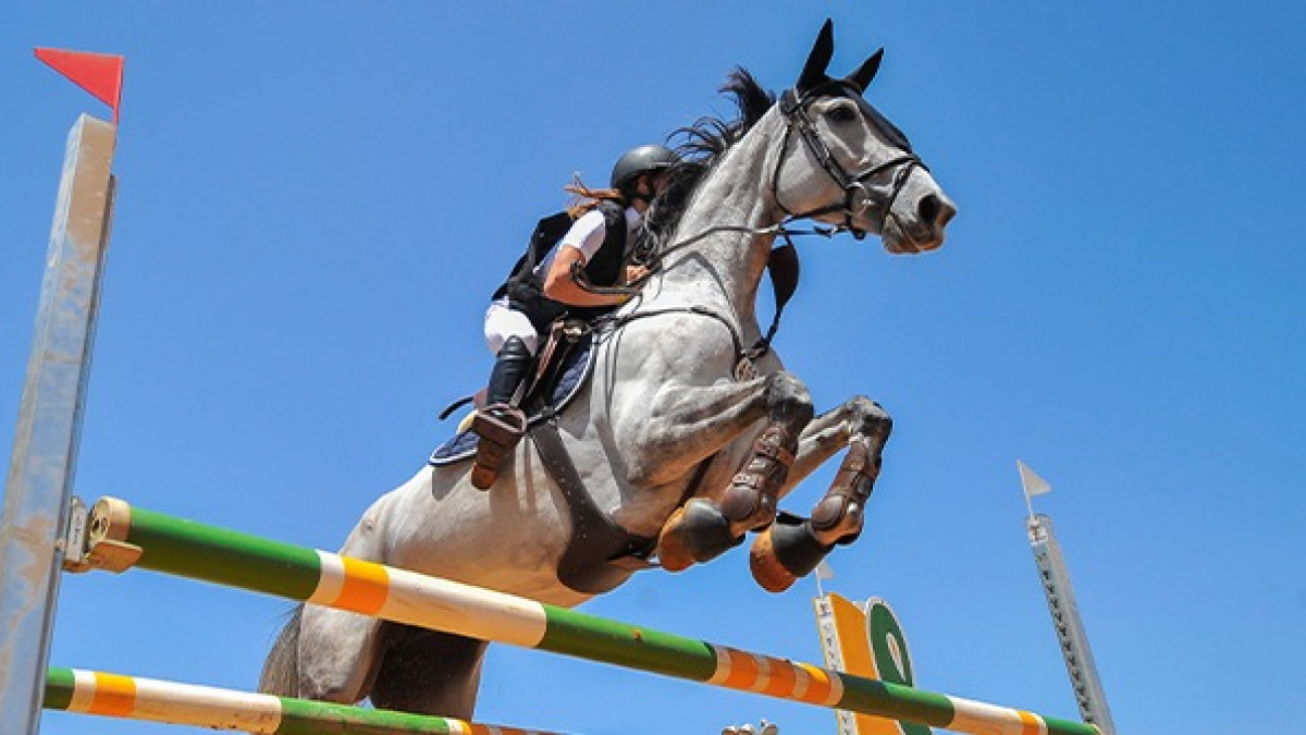 Equitation concours : bien choisir son matériel !