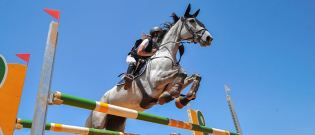 Illustration : "Qu'est-ce que le CSO ou saut d'obstacles ?"