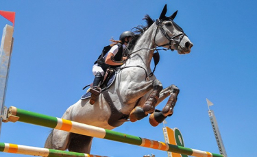 Illustration : "Qu'est-ce que le CSO ou saut d'obstacles ?"