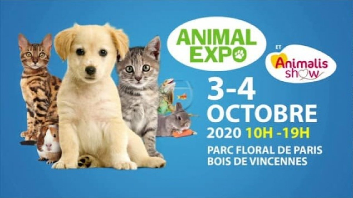 Illustration : "Animal Expo & Animalis Show 2020, le plus grand salon français dédié à l’animal de compagnie, aura lieu les 3 et 4 octobre"