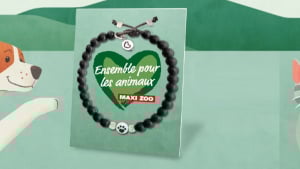 Illustration : Maxi Zoo lance la 7e édition du Lien de l’Amitié, collecte solidaire en faveur de deux associations