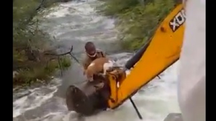 Illustration : Cet homme s'accroche à son véhicule de chantier pour tenter de sauver un chien pris au piège par le puissant courant d'une rivière en crue ! (Vidéo)
