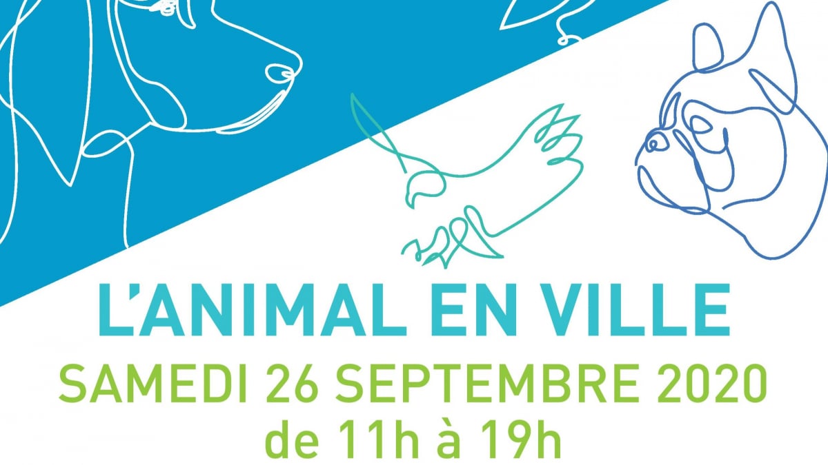Illustration : "La 9e édition de « L’Animal en Ville » se tient ce samedi 26 septembre à Boulogne-Billancourt et promeut le bien-être animal en ville avec des activités familiales et ludiques !"