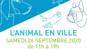 Illustration : La 9e édition de « L’Animal en Ville » se tient ce samedi 26 septembre à Boulogne-Billancourt et promeut le bien-être animal en ville avec des activités familiales et ludiques !