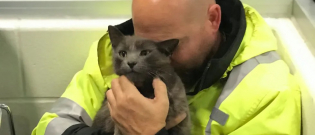 Illustration : "Ému par la disparition de son chat qui l’accompagne partout, ce conducteur de poids lourds fond en larmes quand il le retrouve après plusieurs mois de recherches"