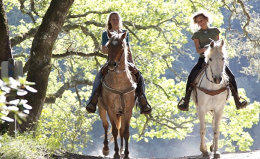 Illustration : "Choisir un cheval d’endurance"