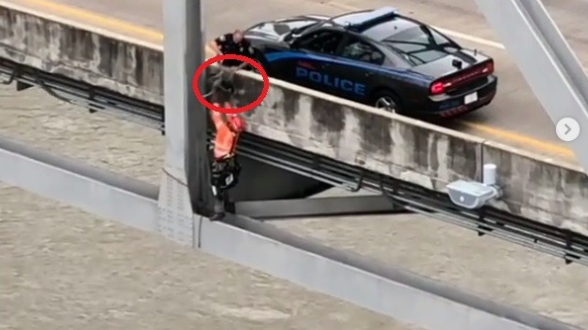Illustration : "Un chien coincé sous un pont à des dizaines de mètres de hauteur, sauvé par l’ingénieur chargé de l’inspection"