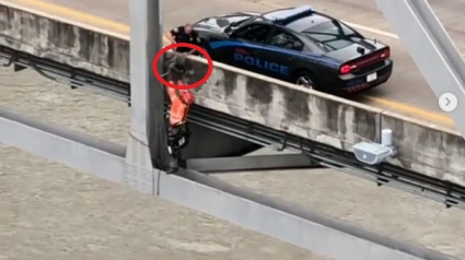 Illustration : Un chien coincé sous un pont à des dizaines de mètres de hauteur, sauvé par l’ingénieur chargé de l’inspection