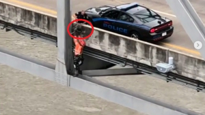 Illustration : Un chien coincé sous un pont à des dizaines de mètres de hauteur, sauvé par l’ingénieur chargé de l’inspection