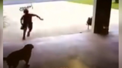 Illustration : Coupable d’aimer les animaux, cet enfant entre par effraction dans le garage de ses voisins pour câliner leur chien ! (Vidéo)