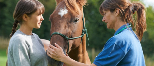 Illustration : "L’importance de la visite d’achat du cheval"