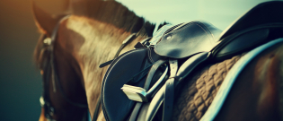 Illustration : "Choisir la selle de son cheval "