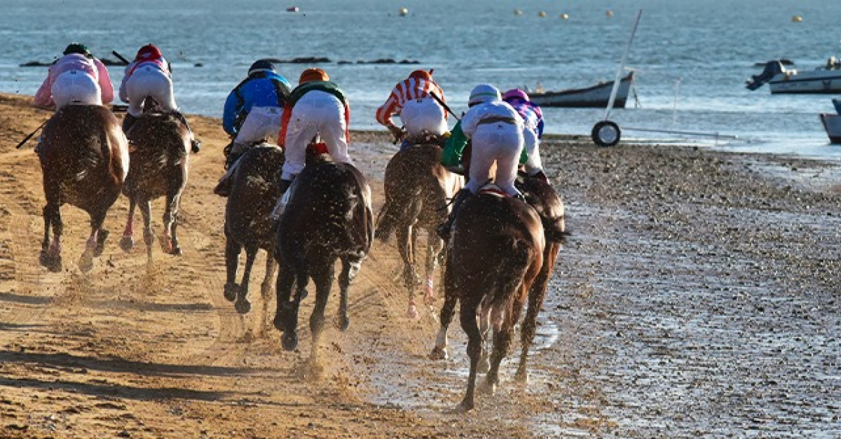 L'endurance à cheval, qu'estce que c'est ? Réglementation, santé du