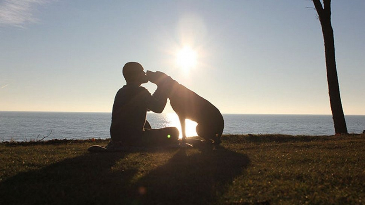 Illustration : "Des vétérinaires diagnostiquent un cancer chez sa chienne. Il décide de lui offrir les meilleurs derniers jours de sa vie !"