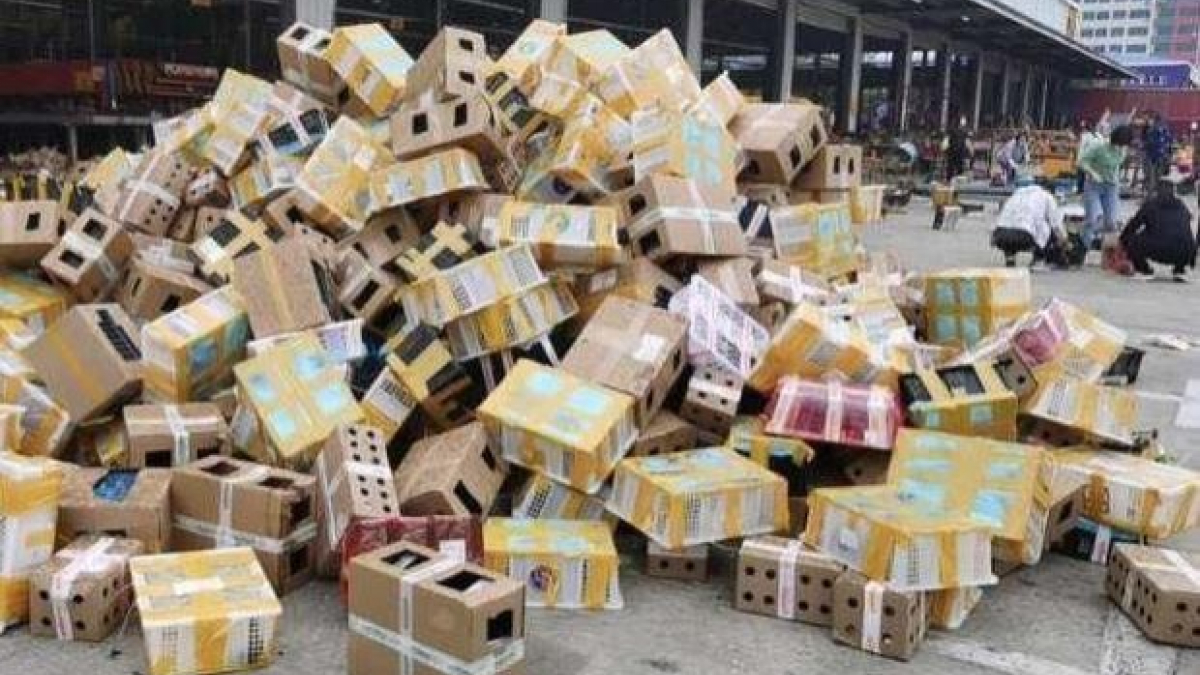 Illustration : "Les autorités chinoises découvrent près de 5 000 animaux sans vie dans des boîtes en carton à Pékin, ils n'avaient ni eau ni nourriture ! "