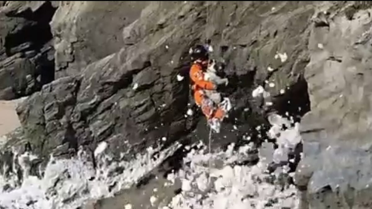 Illustration : "Les secours interviennent en hélicoptère pour tenter de récupérer un chien pris au piège par l’écume de mer sur la côte"