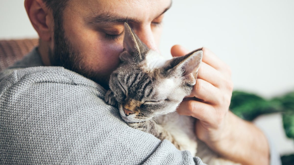 Illustration : "Etude Woopets : L’amour des Français envers leurs animaux de compagnie"