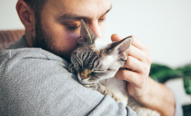 Illustration : "Etude Woopets : L’amour des Français envers leurs animaux de compagnie"