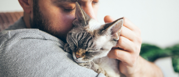 Illustration : "Etude Woopets : L’amour des Français envers leurs animaux de compagnie"