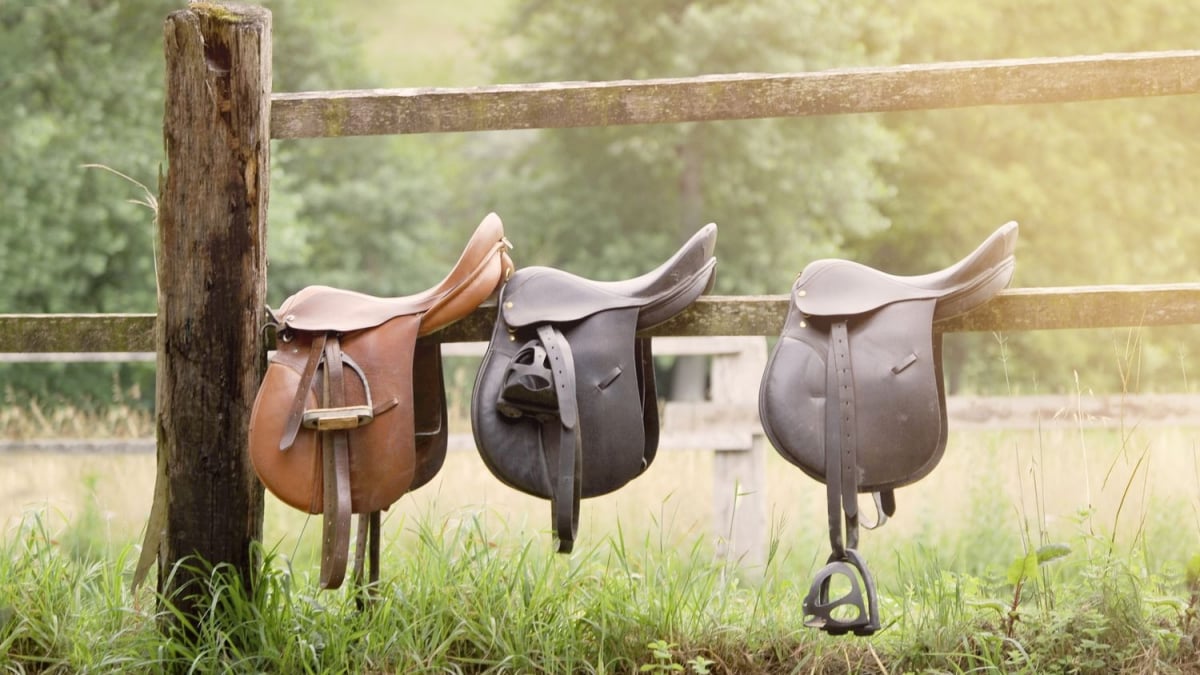 Illustration : "Faire appel à un saddle fitter"