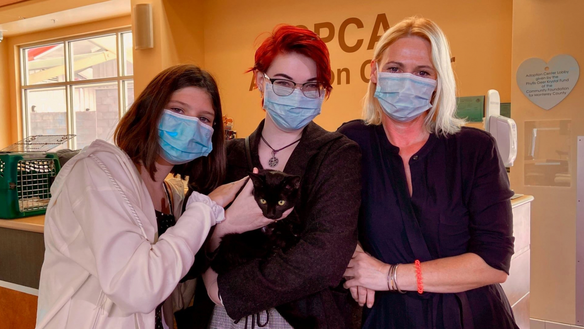 Illustration : "Des vétérinaires organisent les retrouvailles entre une famille sans domicile et leur chaton dans un logement provisoire après avoir survécu à un incendie !"