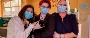Illustration : "Des vétérinaires organisent les retrouvailles entre une famille sans domicile et leur chaton dans un logement provisoire après avoir survécu à un incendie !"