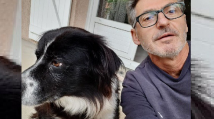 Illustration : Falco, le chien épileptique dont le médicament était introuvable, sauvé grâce à une forte mobilisation sur les réseaux sociaux