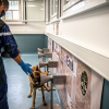 Illustration : Covid-19 : Les vétérinaires inquiets face à la lenteur de la mise en place des chiens renifleurs en France pour détecter le virus