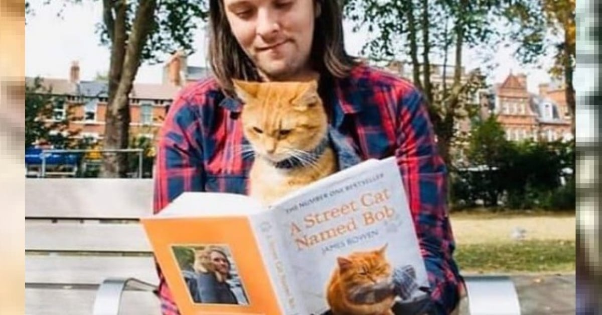 Touche Par La Perte De Son Chat Qui Lui A Permis De Devenir Riche Et Celebre Il Pleure Son Depart Dans Un Hommage Poignant Touche Par La Perte De Son Chat Qui Lui A Permis De Devenir Riche Et Celebre Il Pleure Son Depart Dans Un Hommage Poignant