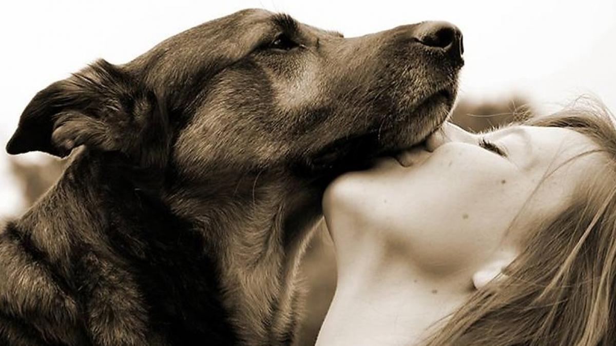 Illustration : "Une étude révèle que les liens que vous entretenez avec votre chien seraient similaires à la relation parent-enfant !"