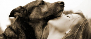 Illustration : "Une étude révèle que les liens que vous entretenez avec votre chien seraient similaires à la relation parent-enfant !"