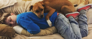 Illustration : "Sauvée par une famille quand tout semblait perdu, cette chienne Pitbull devient un remède pour leur enfant atteint d'autisme ! (Vidéo)"
