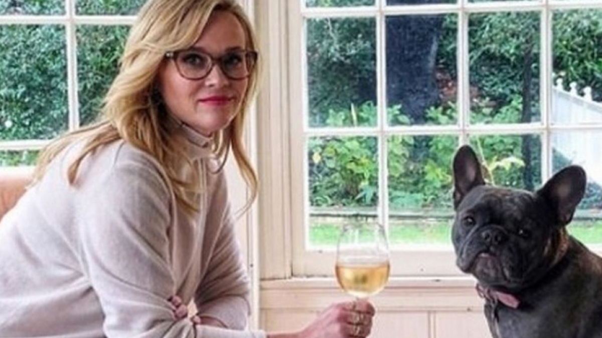Illustration : "L'actrice américaine Reese Witherspoon rend hommage à son Bouledogue Français parti après son long combat contre le cancer"